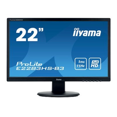 Iiyama 22" Monitor