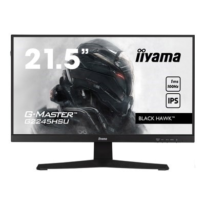 Iiyama 21.5" Monitor